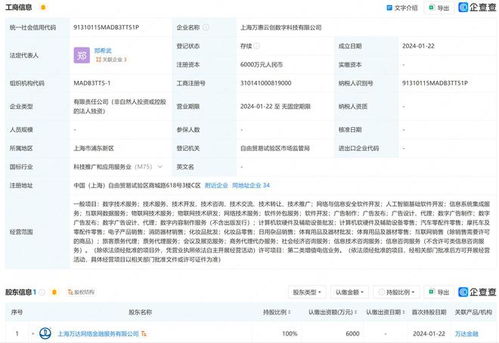 万达在上海成立数字科技公司，布局互联网销售与数据服务赛道